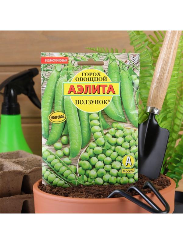 Семена Горох 