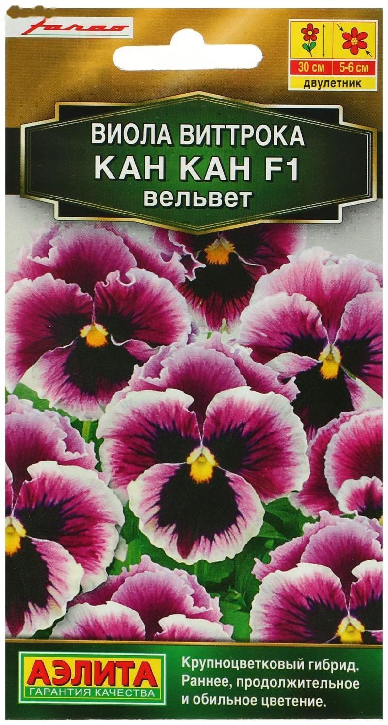 Семена цветов Виола 