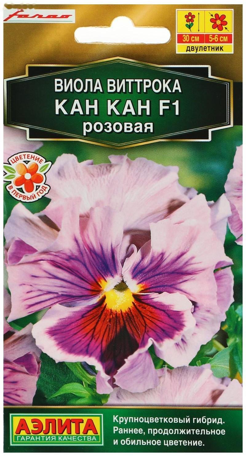 Семена цветов Виола 