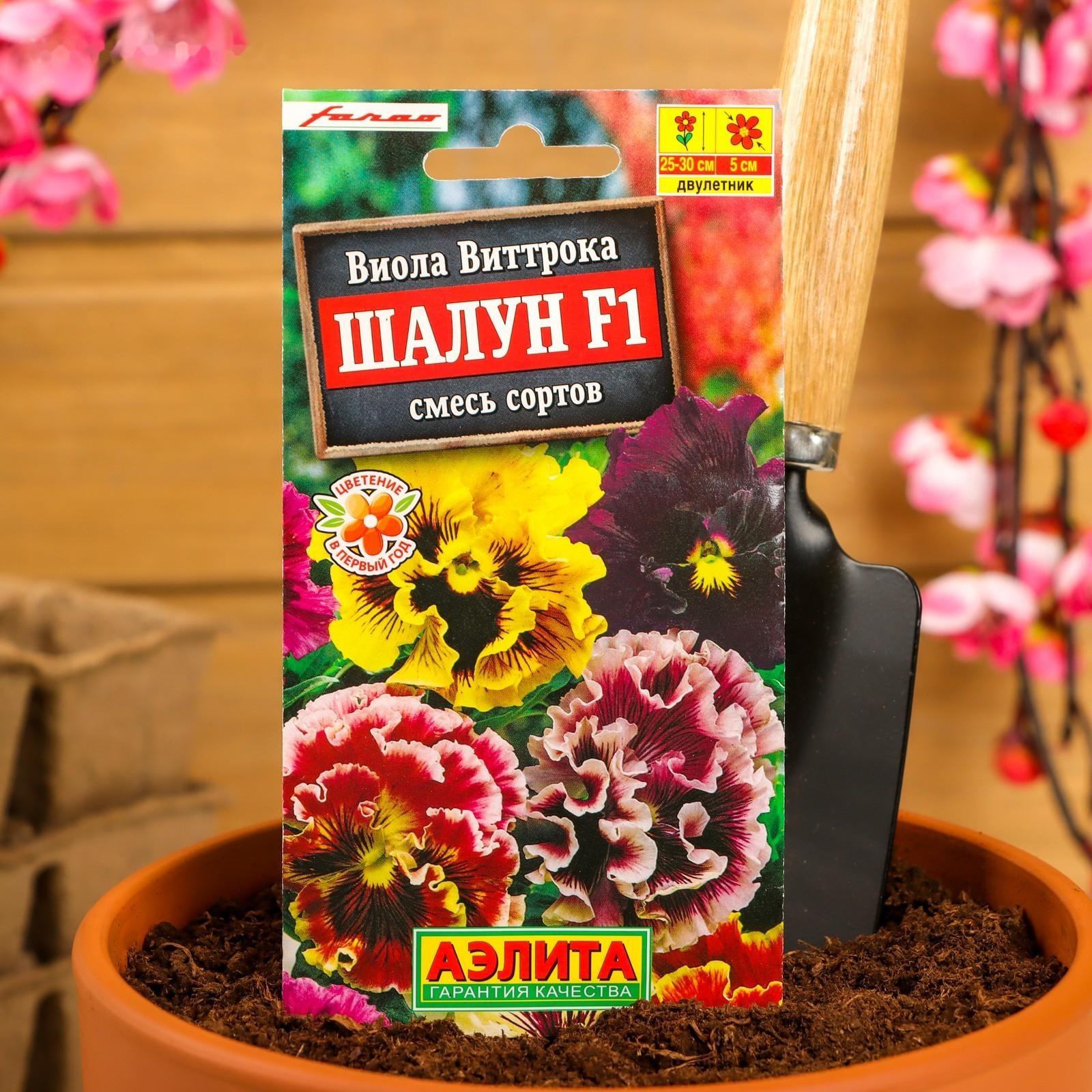 Семена цветов Виола 