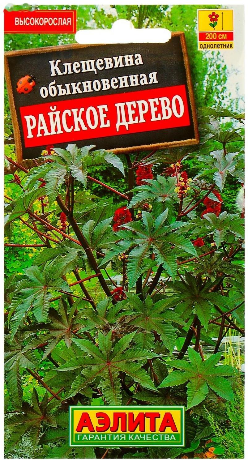 Семена цветов Клещевина 