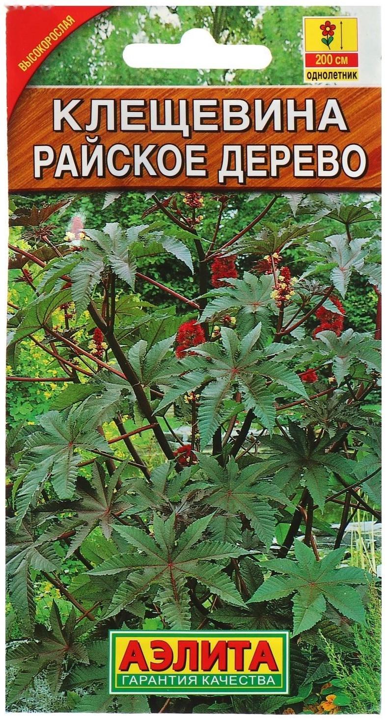 Семена цветов Клещевина 