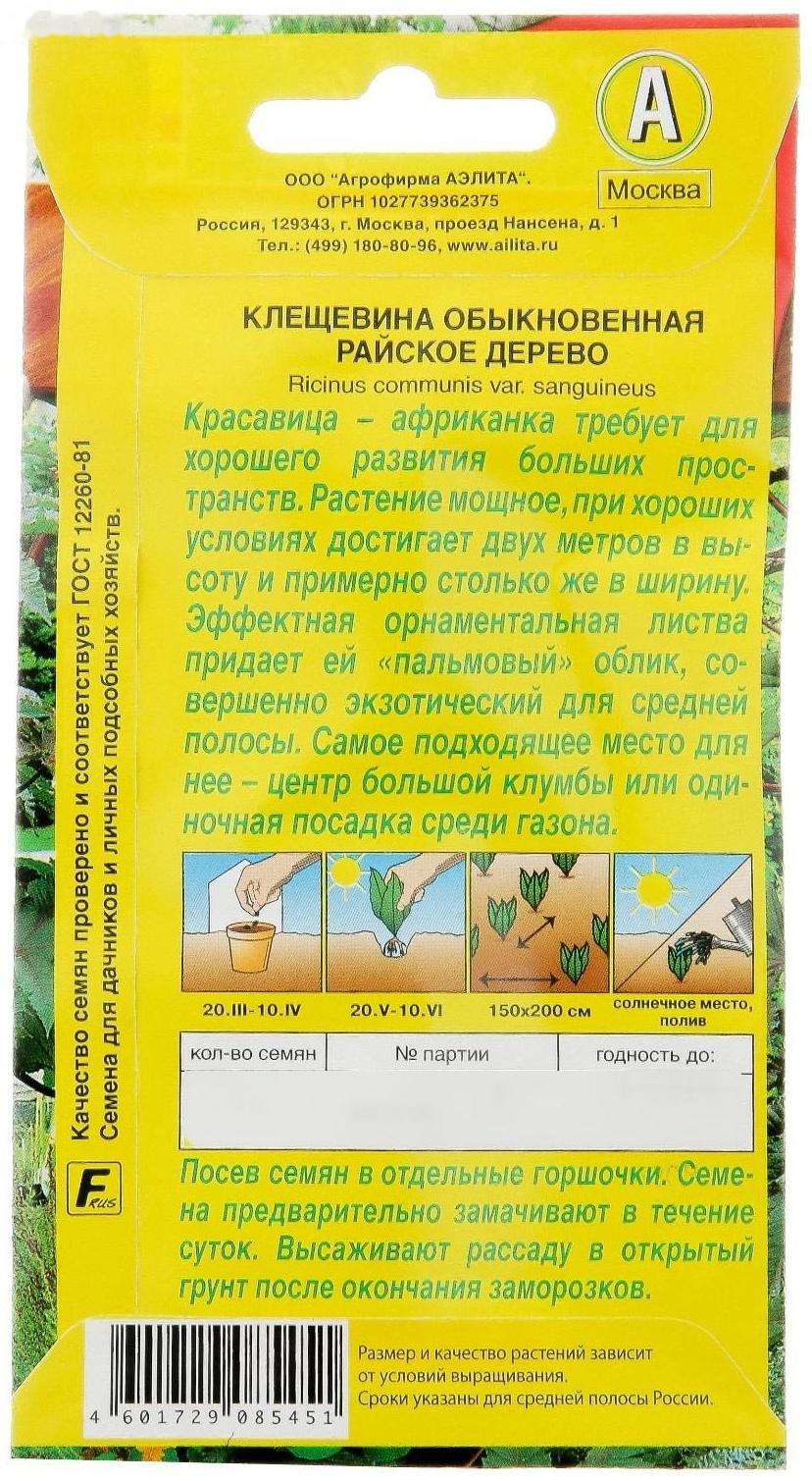 Семена цветов Клещевина 