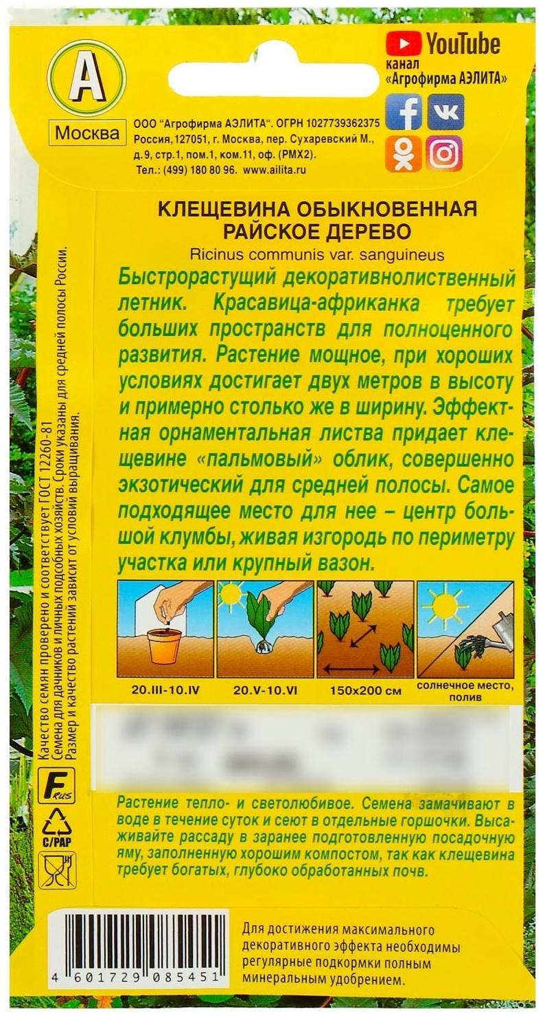 Семена цветов Клещевина 