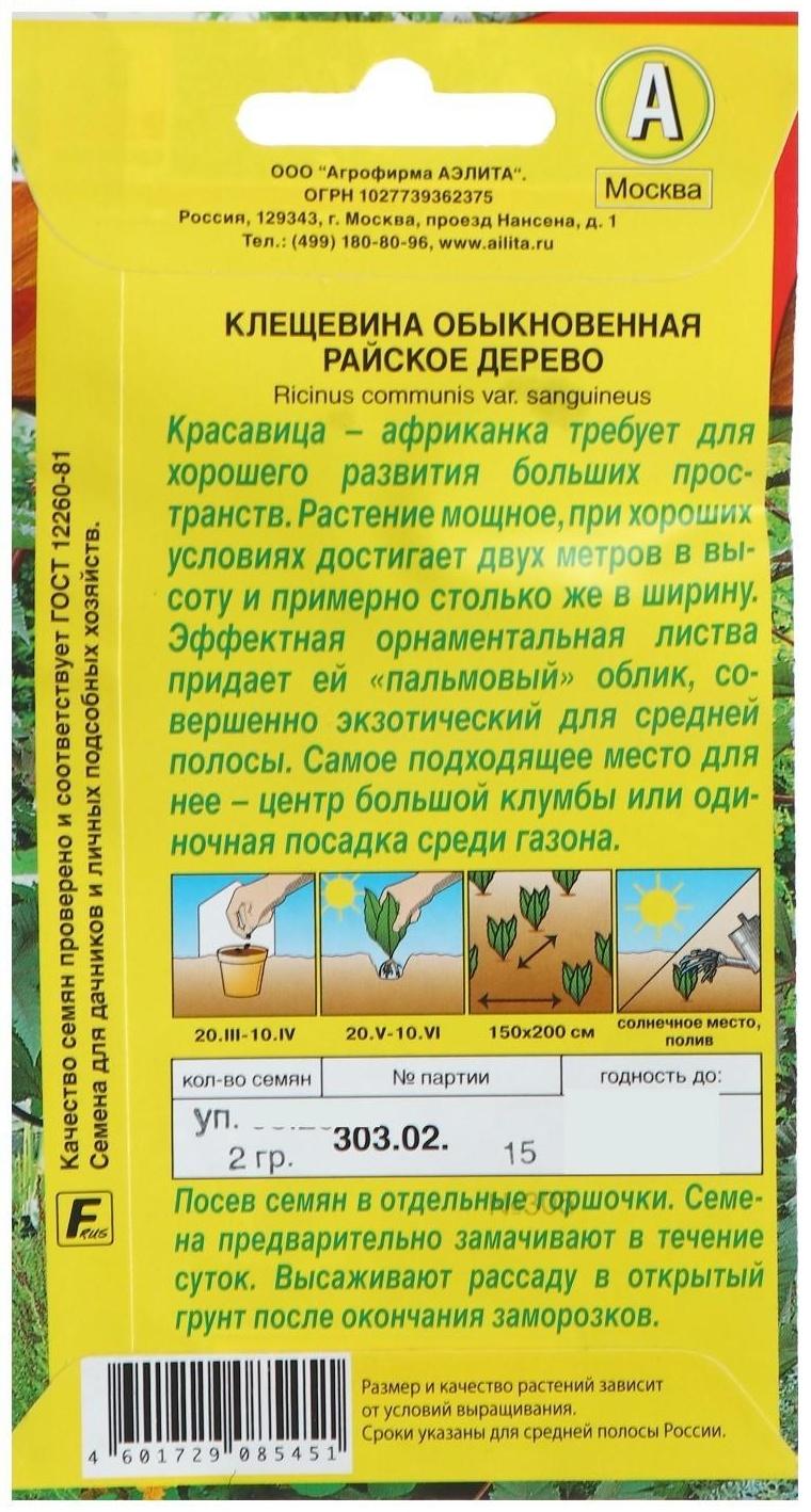 Семена цветов Клещевина 