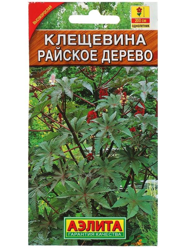 Семена цветов Клещевина 