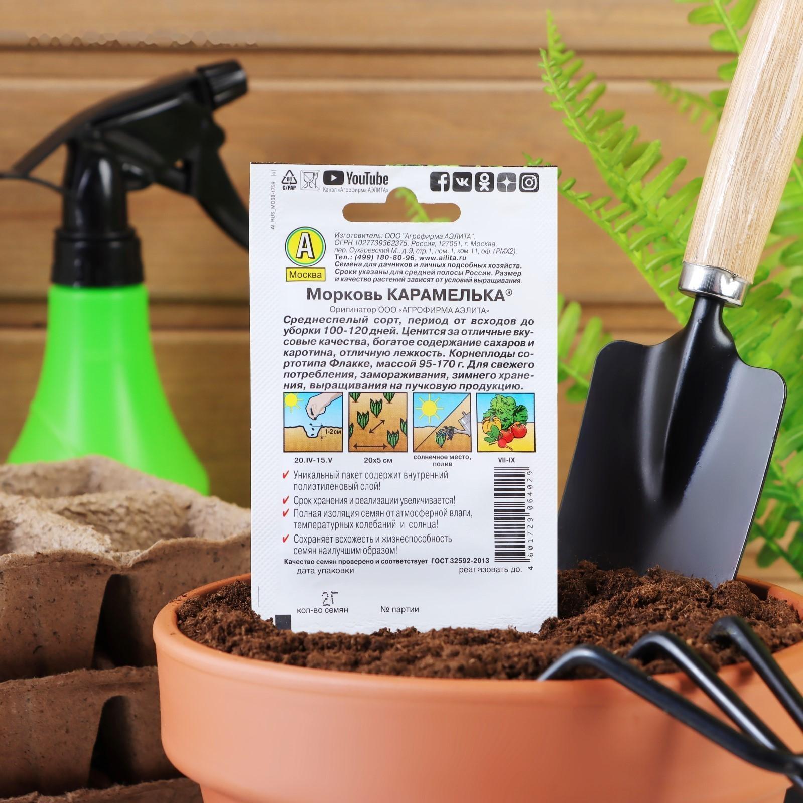 Семена Морковь 