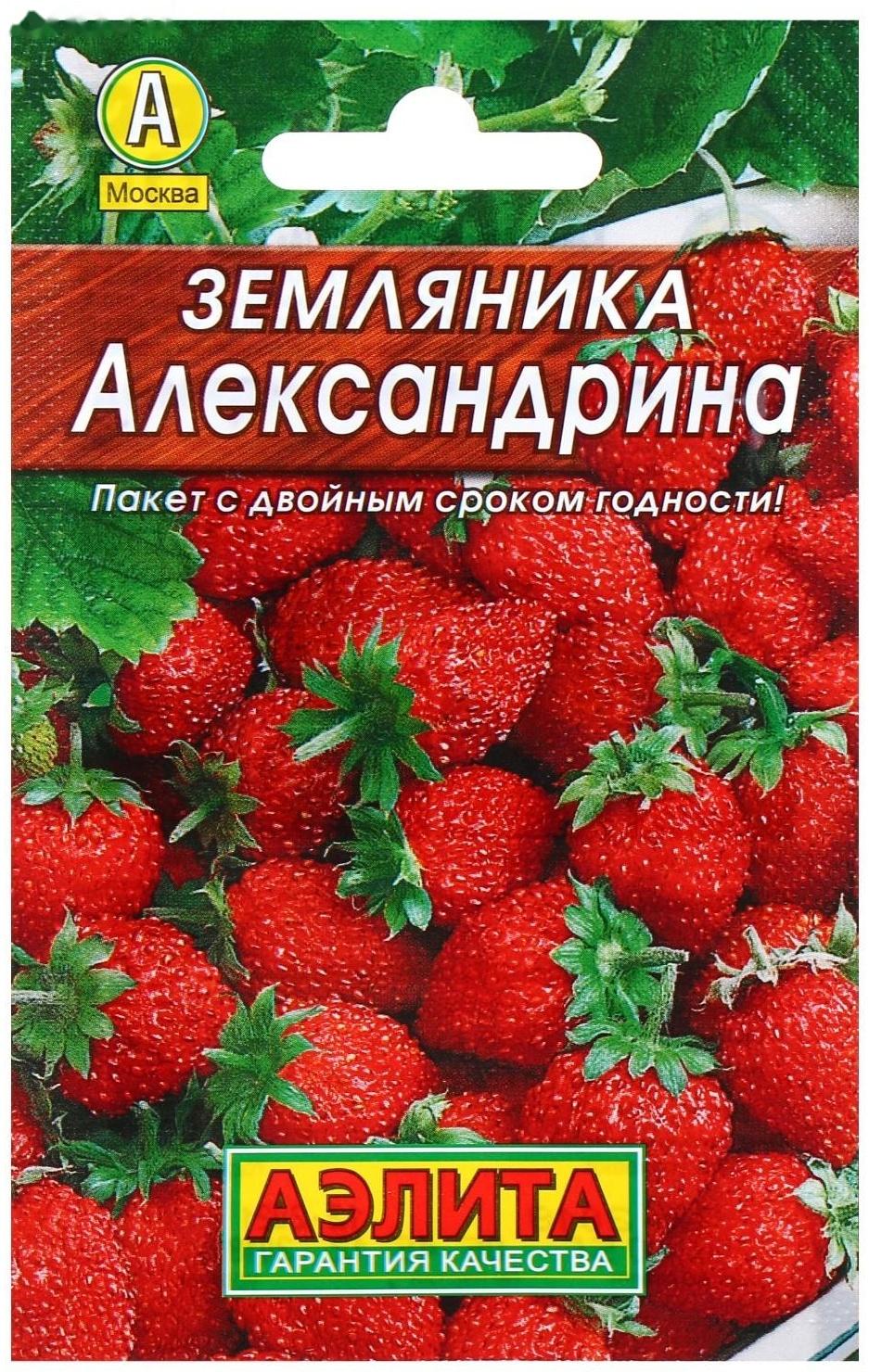 Семена Земляника 