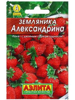 Семена Земляника 