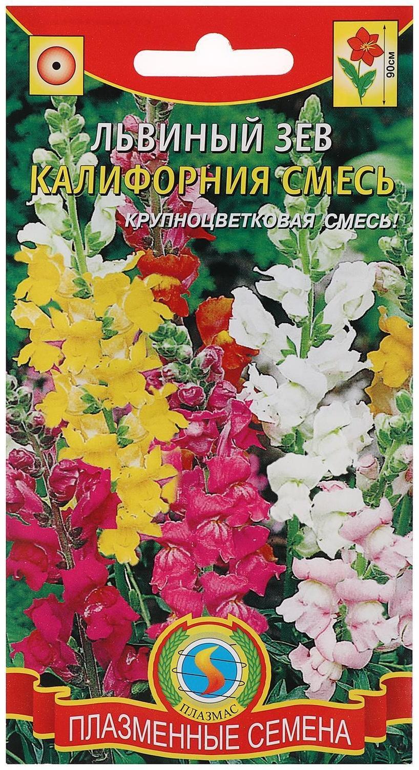 Семена цветов Львиный зев 