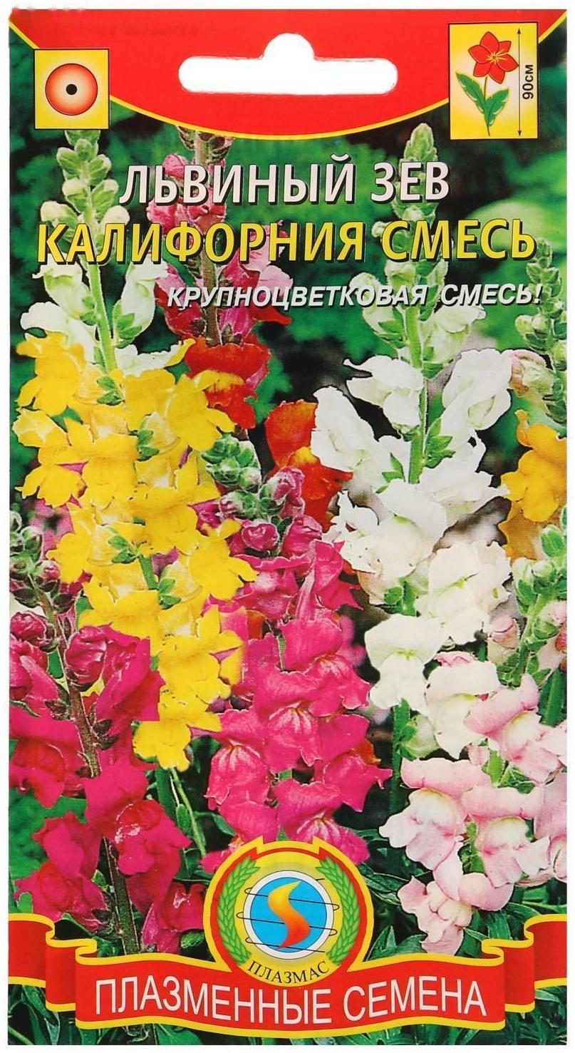 Семена цветов Львиный зев 