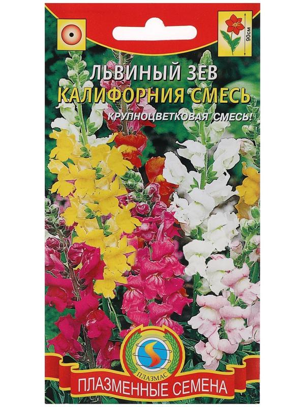 Семена цветов Львиный зев 