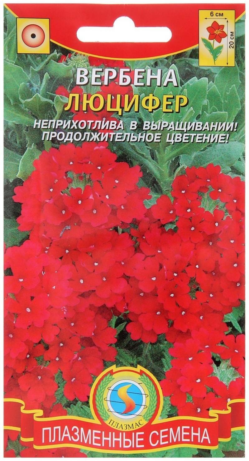 Семена цветов Вербена 