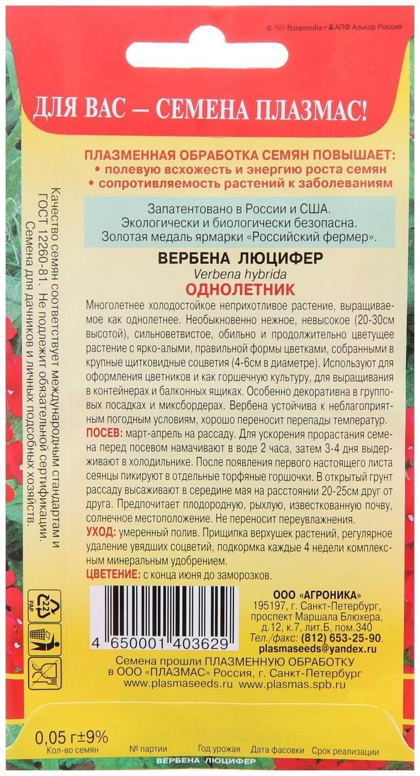 Семена цветов Вербена 