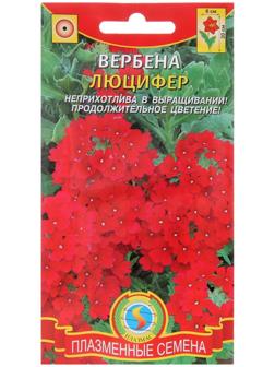 Семена цветов Вербена 