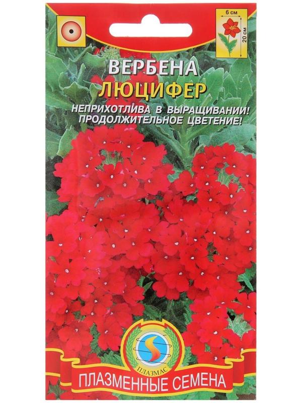 Семена цветов Вербена 