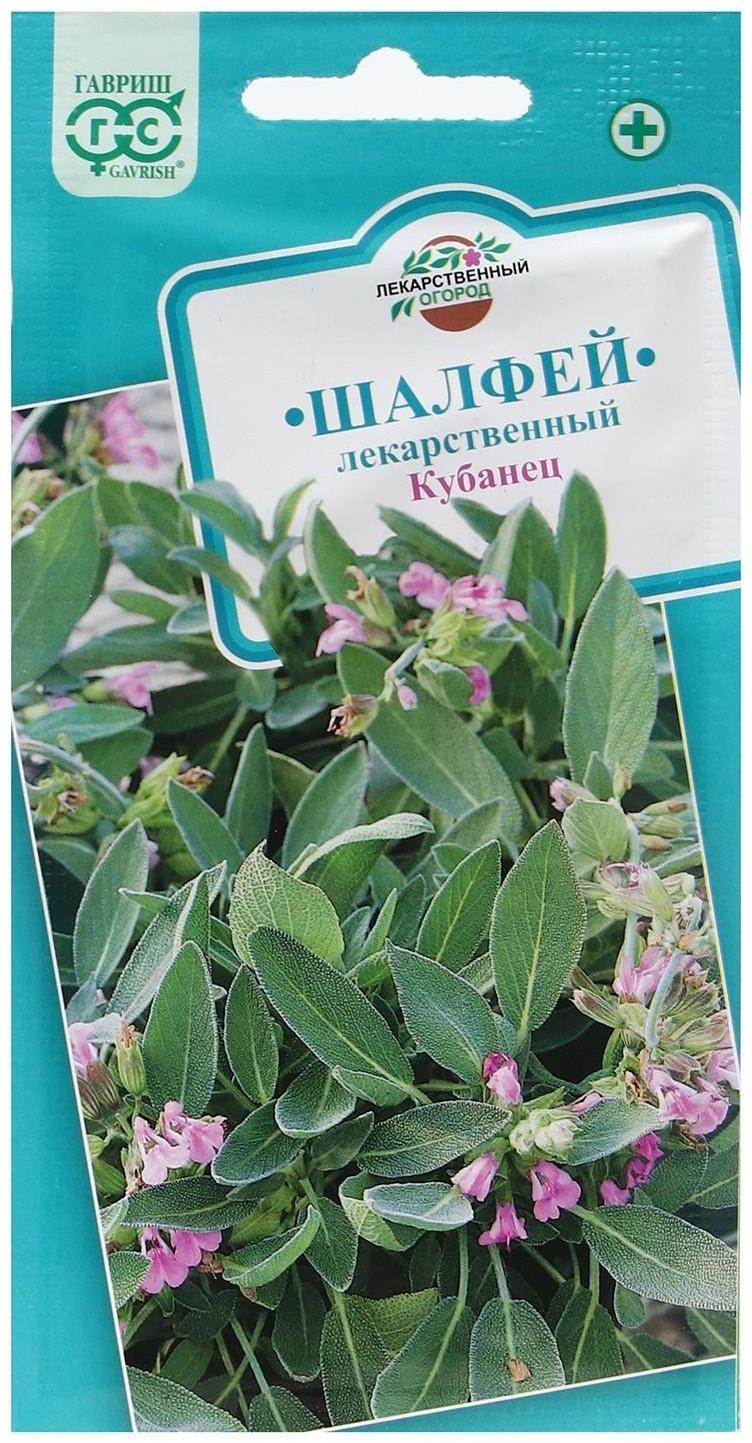 Семена Шалфей лекарственный