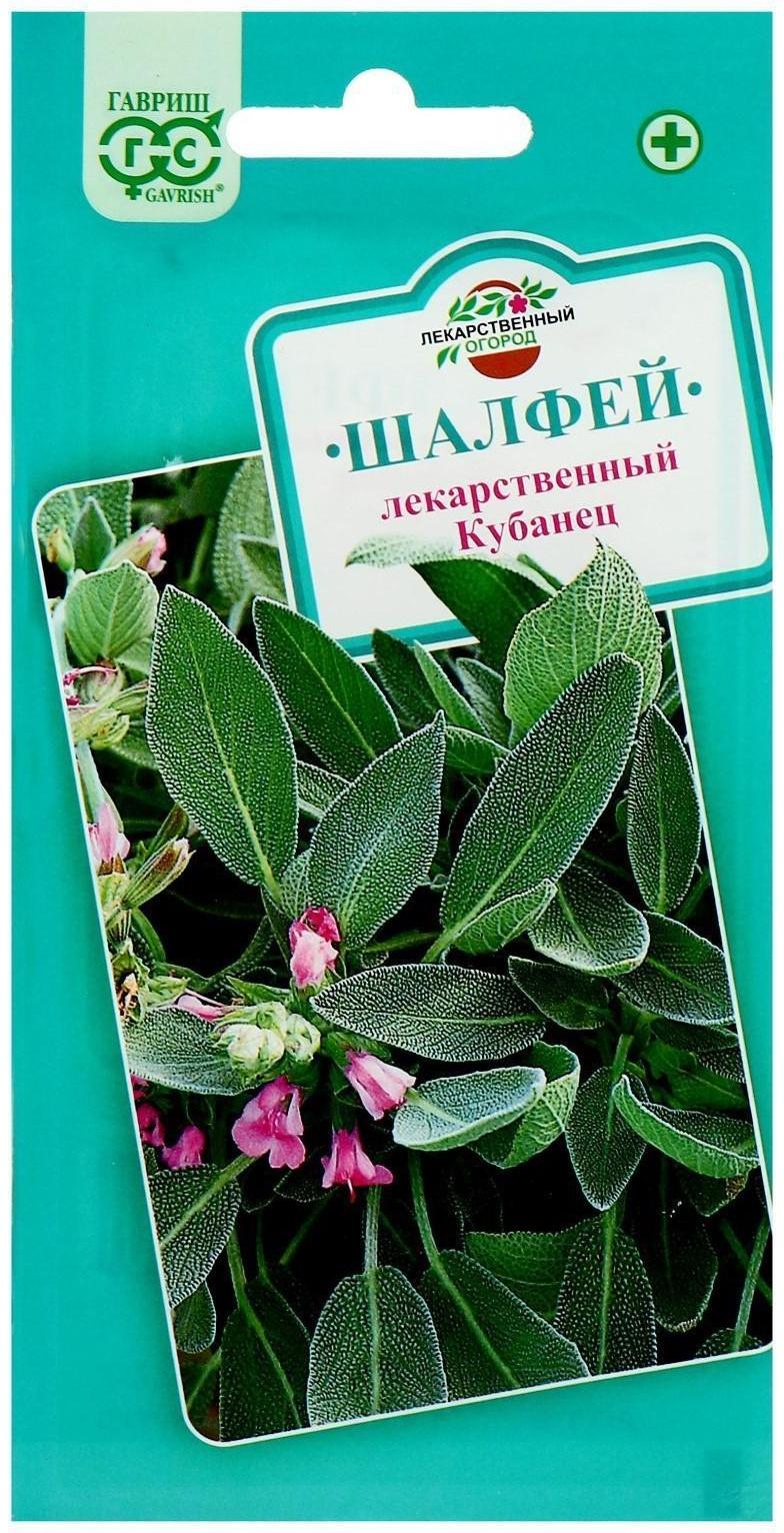 Семена Шалфей лекарственный