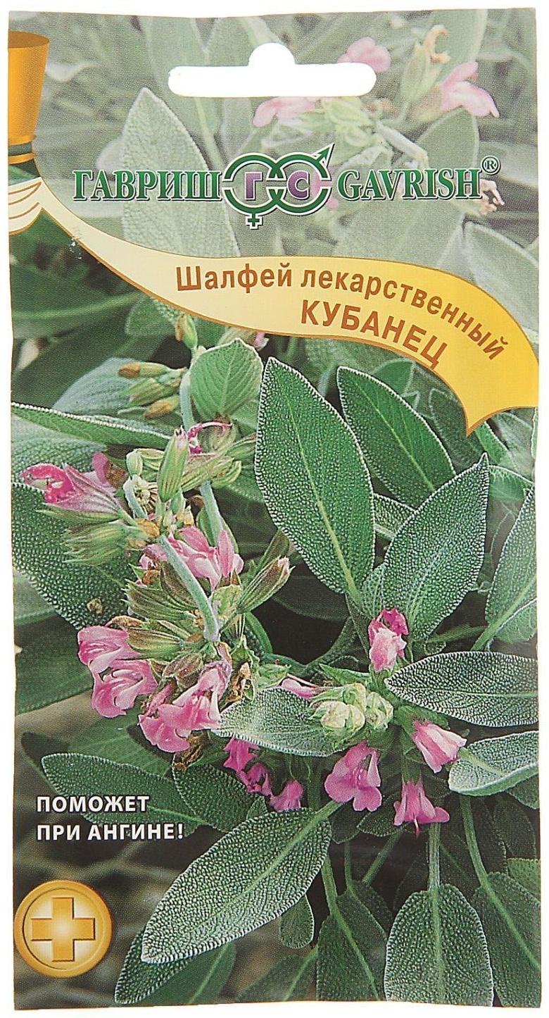 Семена Шалфей лекарственный