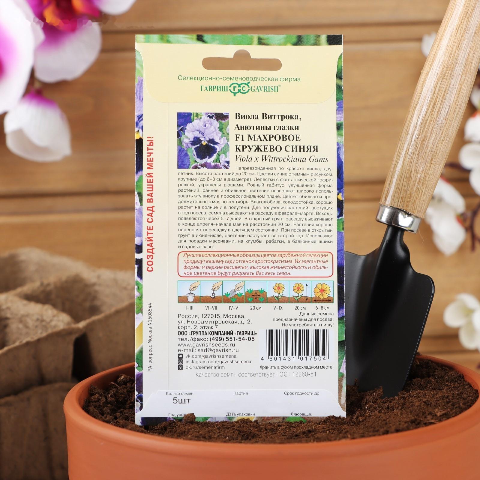 Семена цветов Виола 