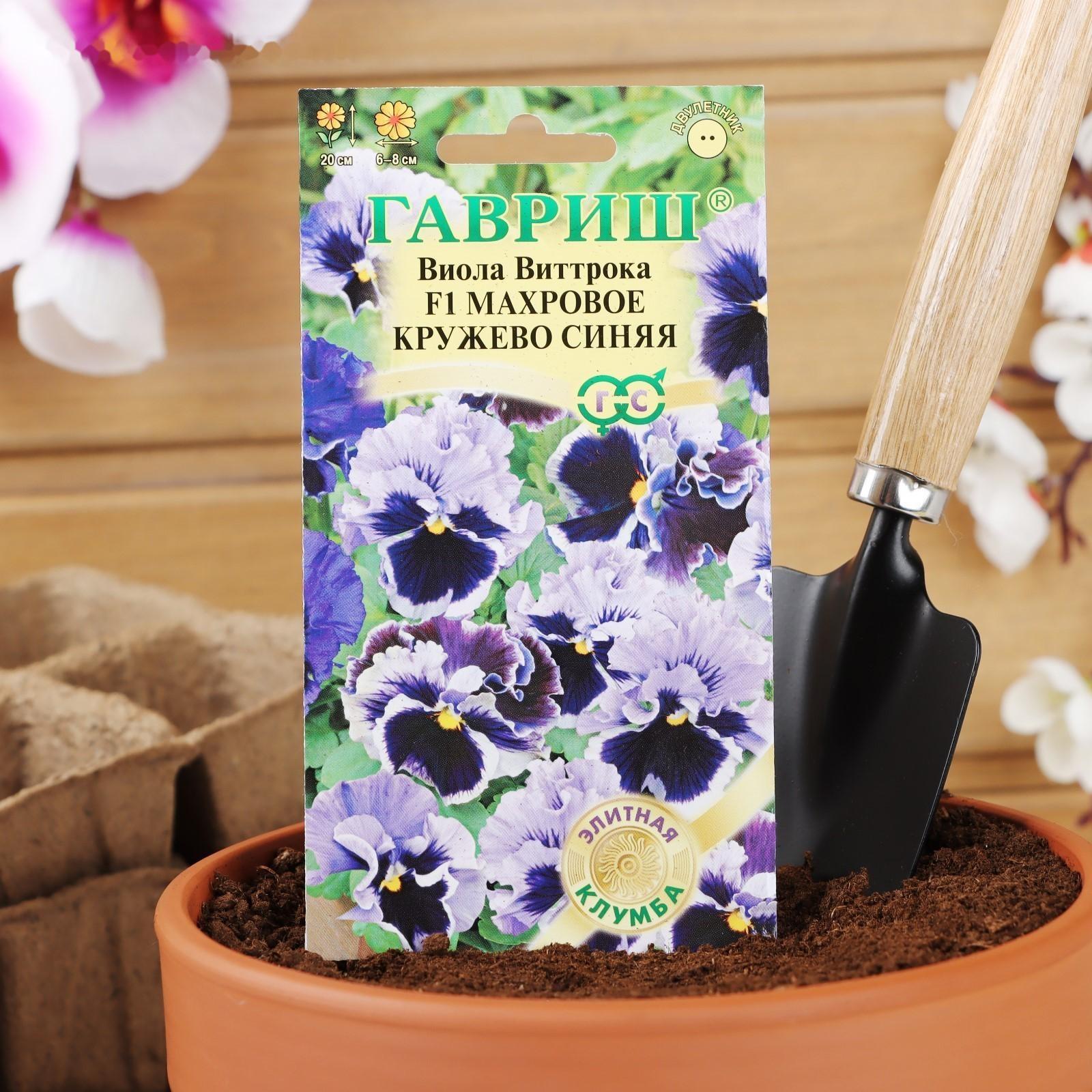 Семена цветов Виола 
