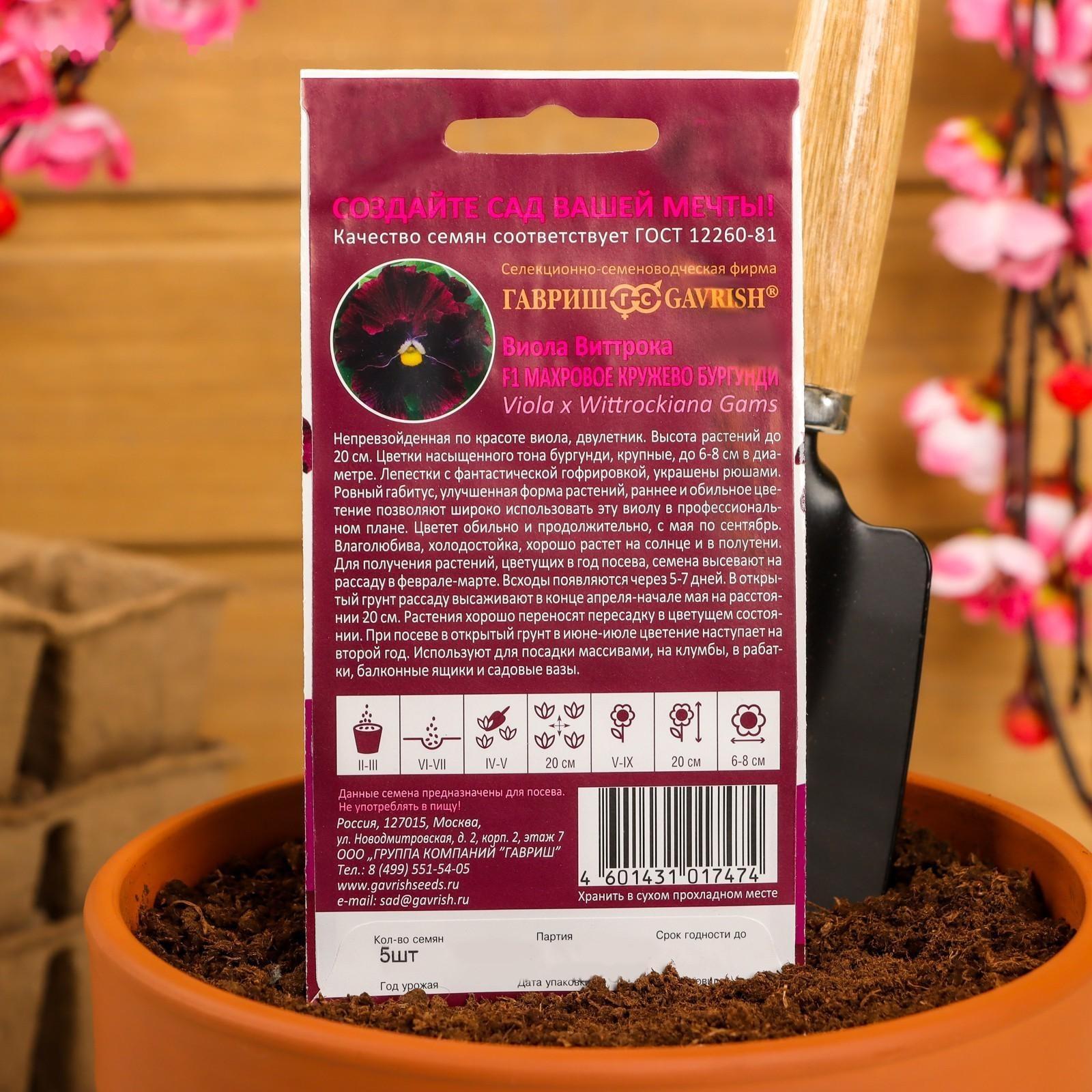 Семена цветов Виола 