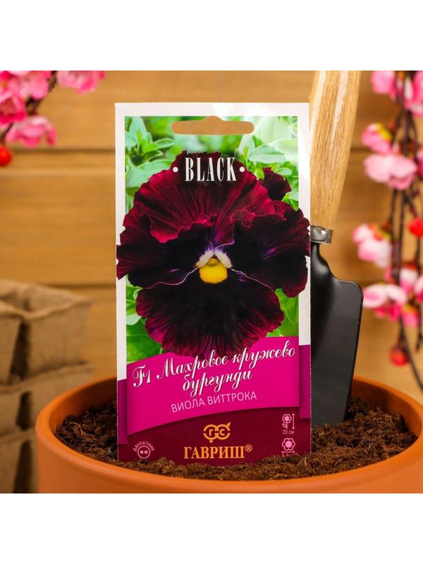 Семена цветов Виола 