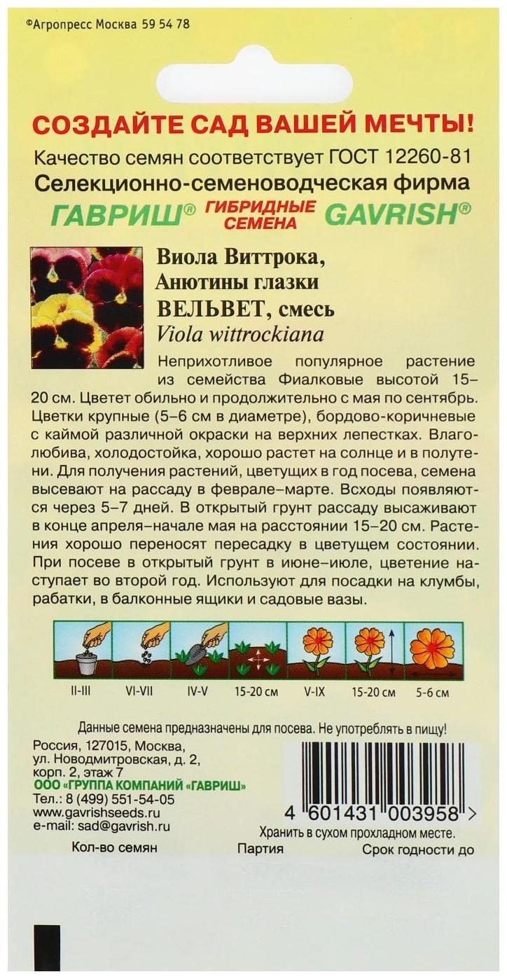 Семена цветов Виола 