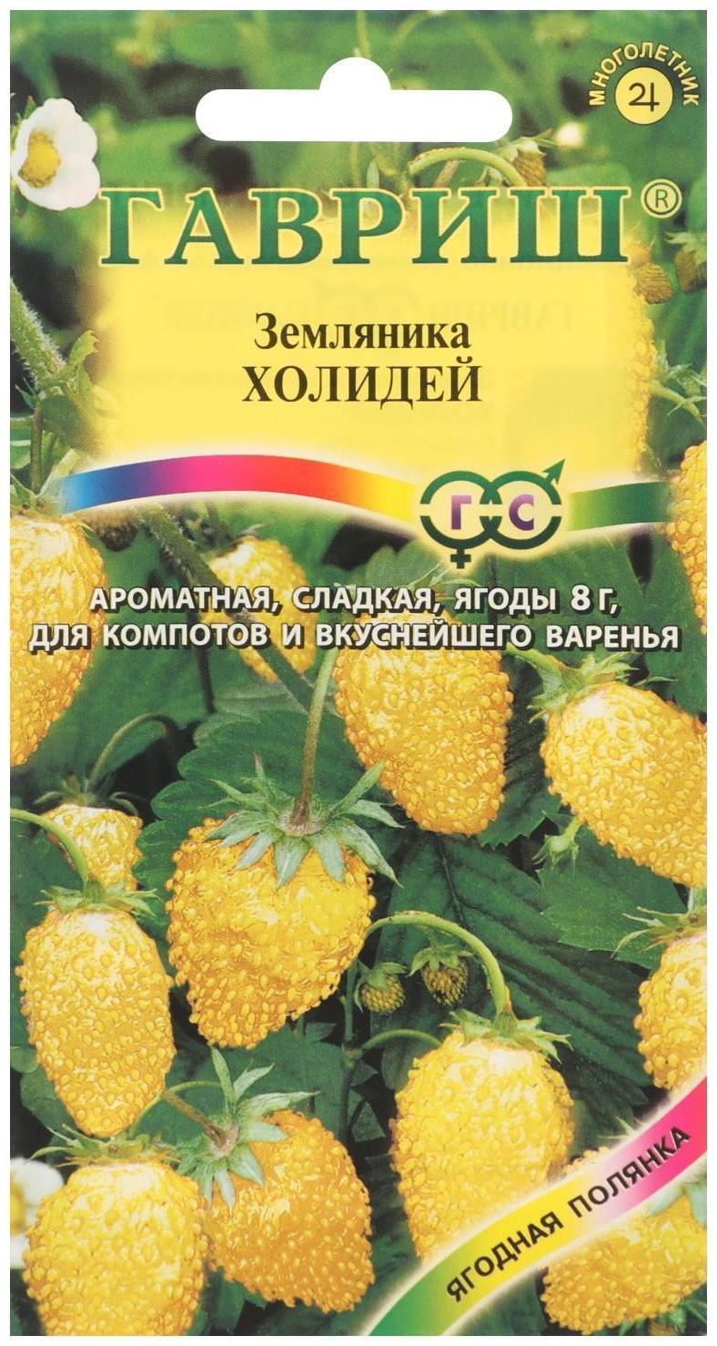 Семена Земляника 