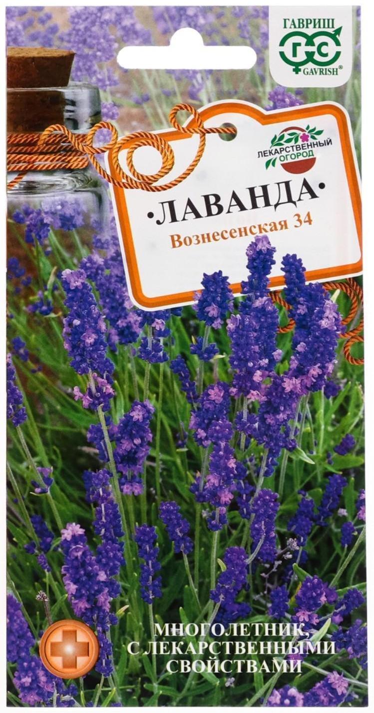 Семена Лаванда узколистная, 