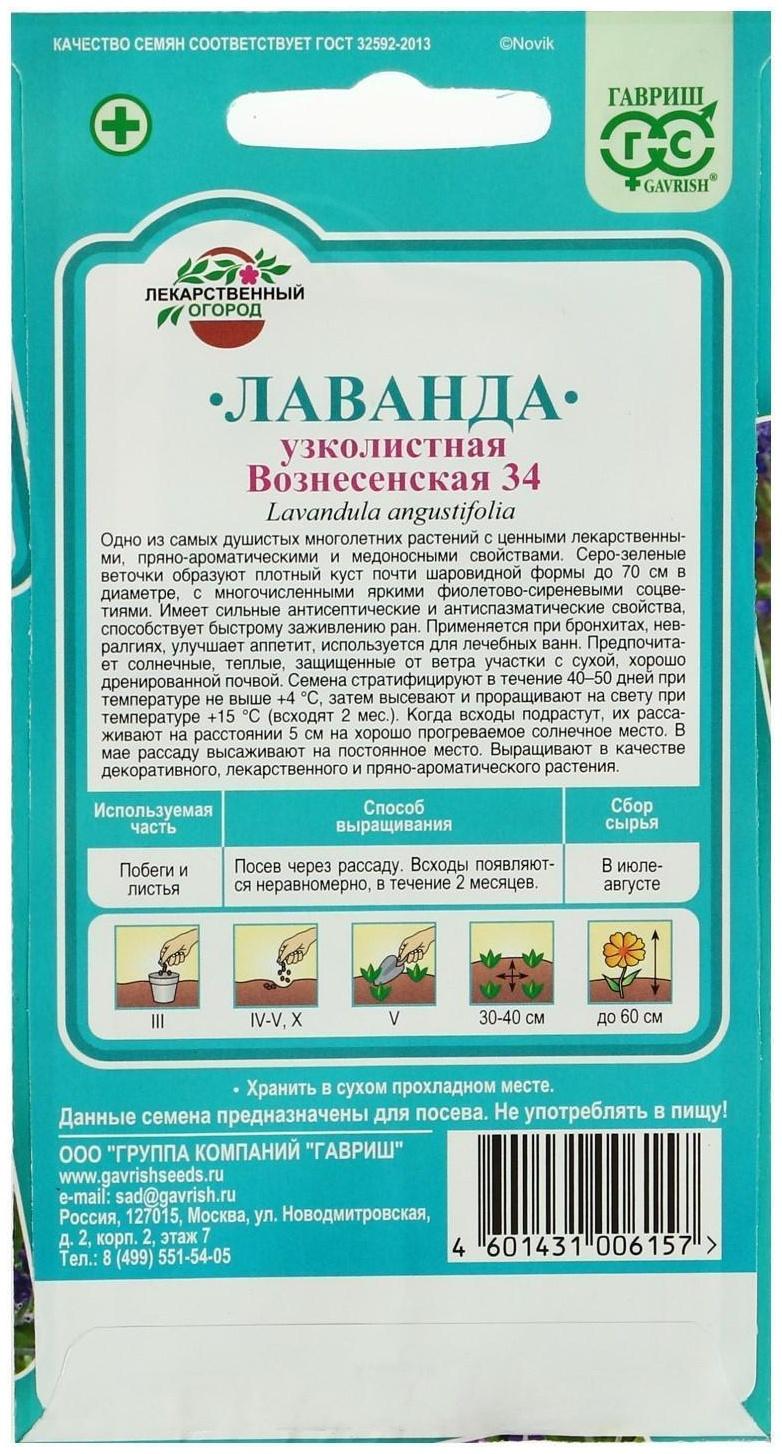 Семена Лаванда узколистная, 