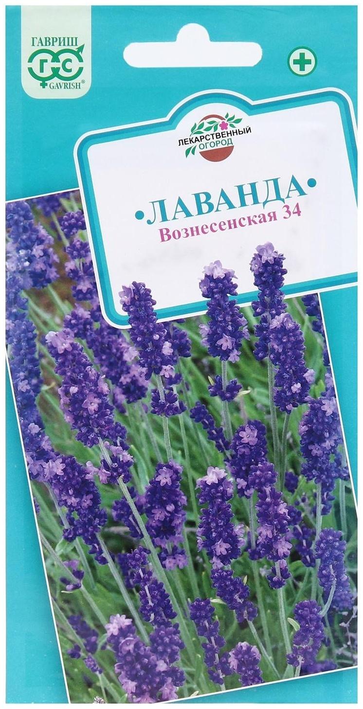 Семена Лаванда узколистная, 