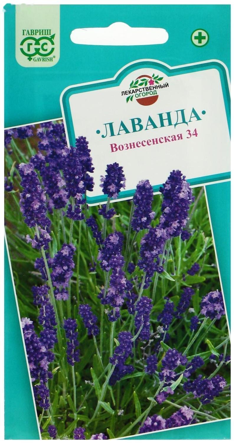Семена Лаванда узколистная, 