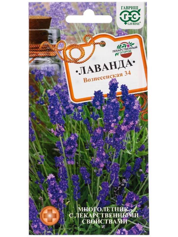 Семена Лаванда узколистная, 