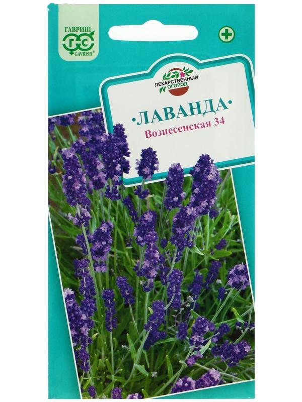 Семена Лаванда узколистная, 