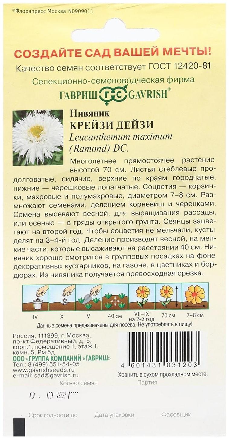 Семена цветов Нивяник 