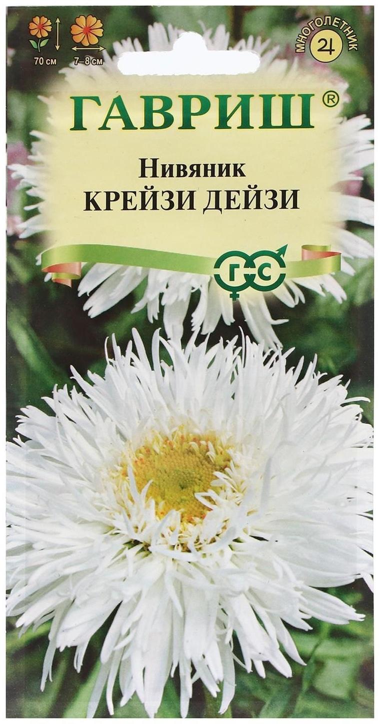 Семена цветов Нивяник 