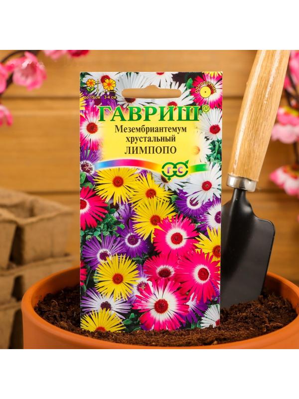 Семена цветов Мезембриантемум хрустальный 