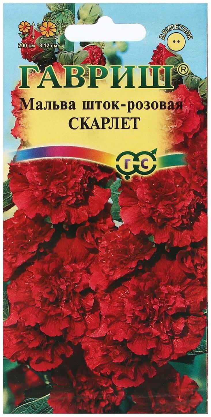 Семена цветов Мальва 