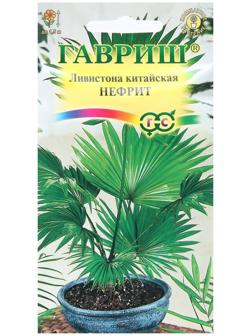 Семена комнатных цветов Ливистона 