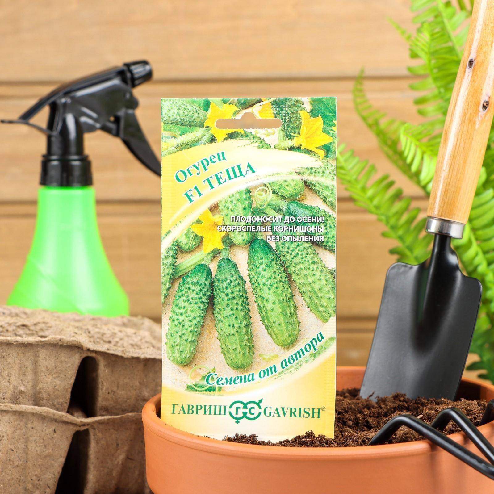 Семена Огурец 