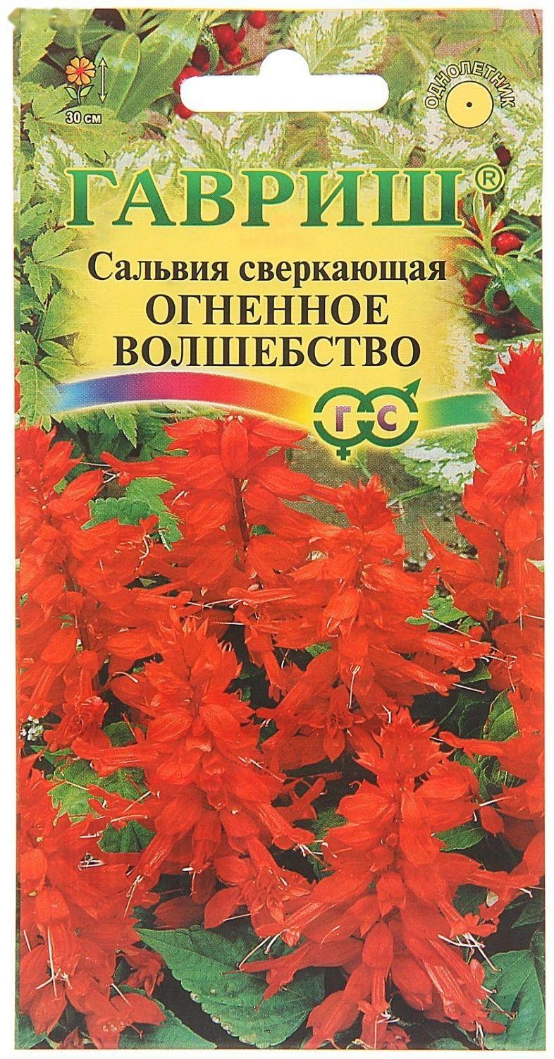 Семена цветов Сальвия 