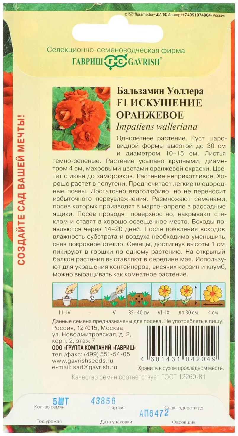 Семена цветов Бальзамин 