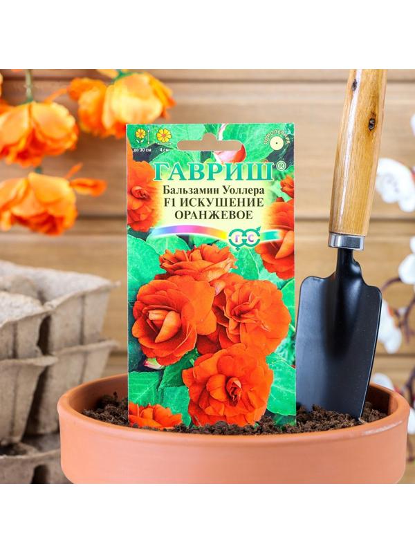 Семена цветов Бальзамин 