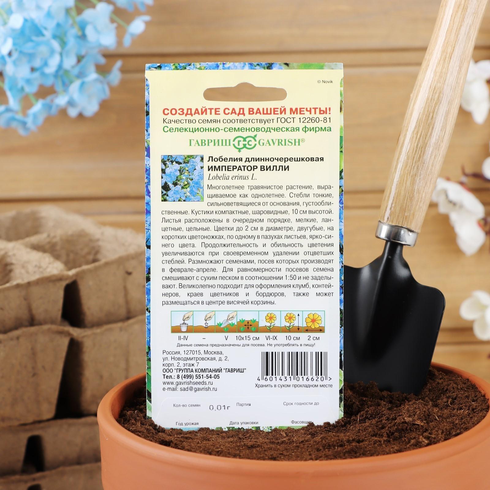 Семена цветов Лобелия 
