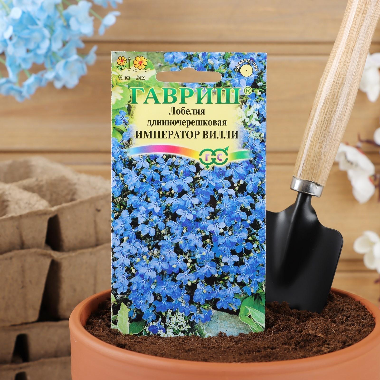 Семена цветов Лобелия 