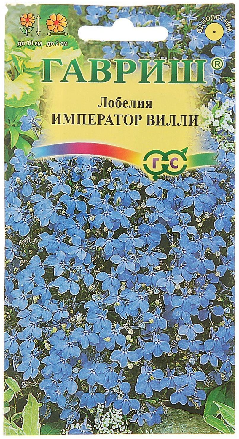 Семена цветов Лобелия 