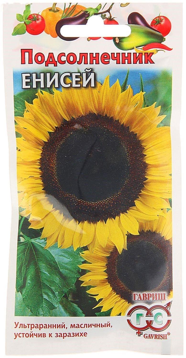 Семена Подсолнечник 