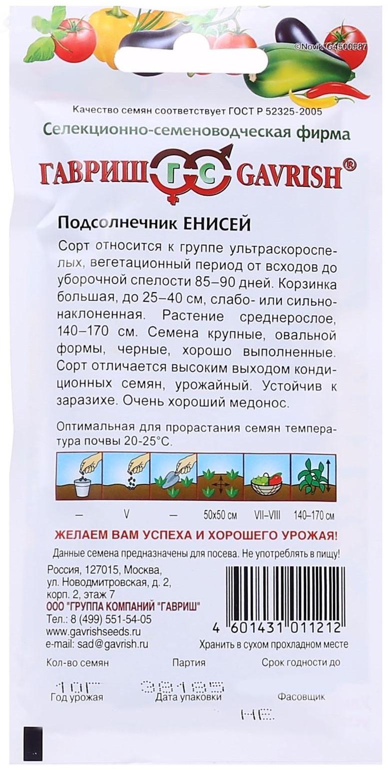 Семена Подсолнечник 