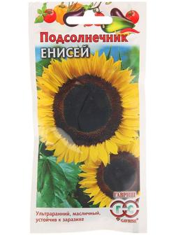 Семена Подсолнечник 